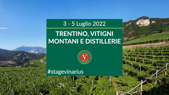 Stage Vinarius in Trentino dal 3 al 5 luglio 2022