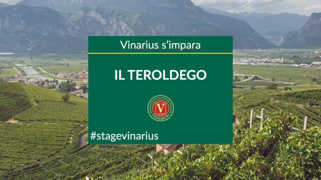 Stage Vinarius in Trentino, focus su Teroldego