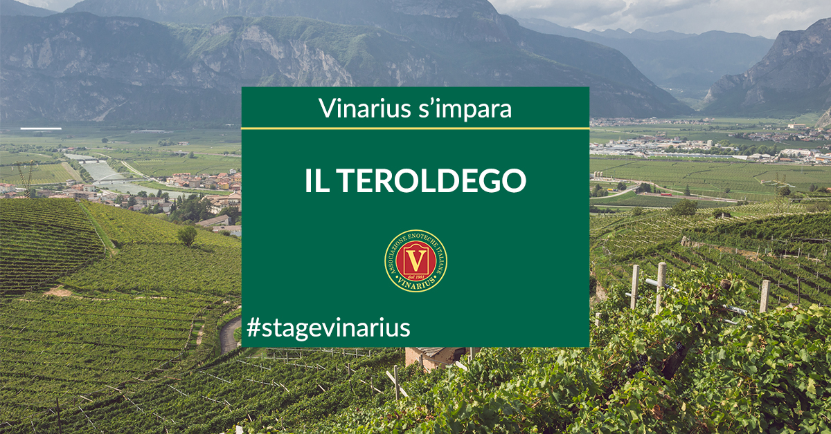 Stage Vinarius in Trentino, focus su Teroldego