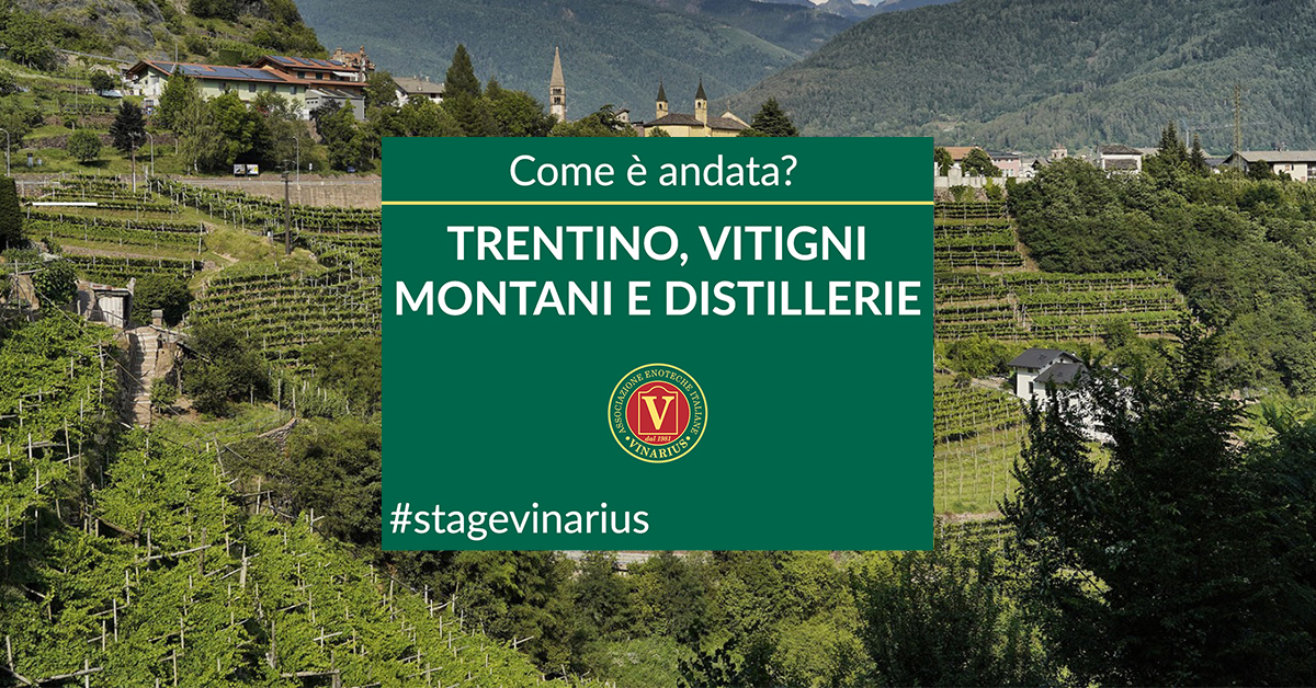 Stage Vinarius Trentino commenti partecipanti