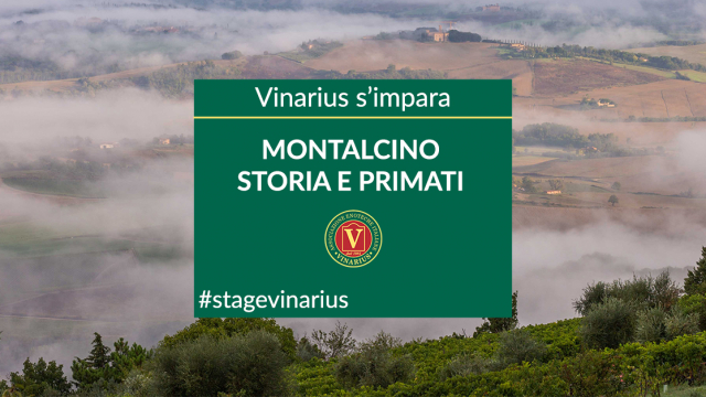 Vinarius s'impara: Montalcino, storia e primati
