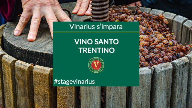 Stage Vinarius approfondimento Vino Santo del Trentino