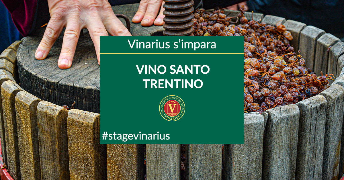 Stage Vinarius approfondimento Vino Santo del Trentino