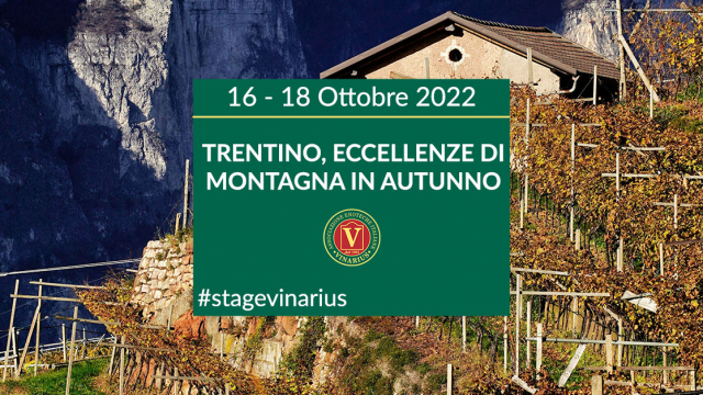 Stage Vinarius in Trentino, eccellenze di montagna in autunno